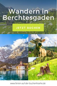 the cover of a book with pictures of mountains and houses in them, including cows