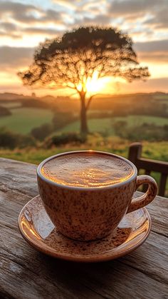 a cup of coffee sitting on top of a wooden table next to a tree at sunset