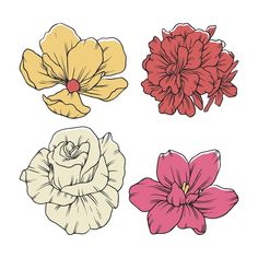 four different types of flowers are shown in this drawing style, each with their own color scheme