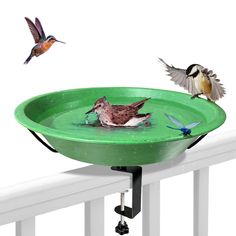 PRICES MAY VARY. Bird Bath Attract More Birds : Metal deck bird baths can attract birds close to the house. Birdbaths for the garden create a bath paradise for your feathered friends. No matter what the weather or climate is, birds can enjoy a nice bath or drink. Birdbath Sturdy & Durable :The bird bath tray is made of high quality metal material with paint, which is both beautiful and not easy to crack. It is abrasion and weather resistant and is not afraid of rain or sun.This birdbath has a la Metal Bird Bath, Heated Bird Bath, Wild Birds Unlimited, Bird Bath Bowl, Bath Pictures, Metal Deck, Bath Tray, Bird Baths, Garden Water