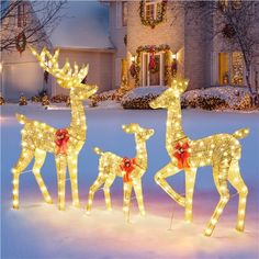 three lighted reindeers in front of a house