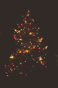 a large christmas tree is lit up in the dark with colorful lights on it's branches