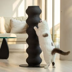 a cat is playing with a tall black object