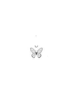 a single butterfly flying in the air