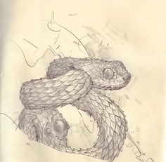 a pencil drawing of a snake with its head in the air and it's tongue out