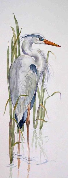 a painting of a bird standing in the water next to some grass and reeds