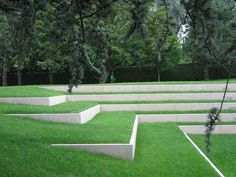 a grassy area with concrete steps and trees in the background