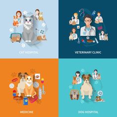 veterinas and their pets in flat design style - animals characters on separate backgrounds