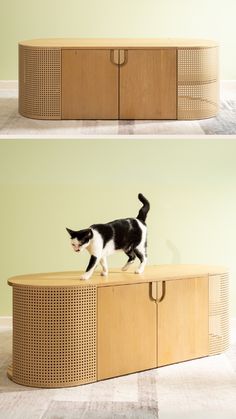 a black and white cat standing on top of a wooden cabinet