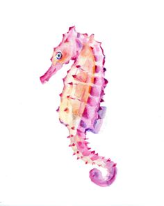 a watercolor painting of a pink and yellow seahorse on a white paper background