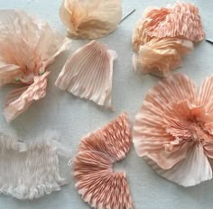 four different types of flower petals on a white tablecloth with pink and beige colors