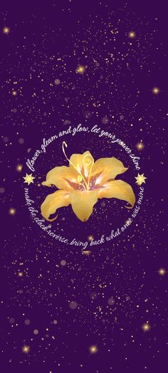 a purple background with gold stars and a yellow flower on the center, surrounded by words that spell out your name