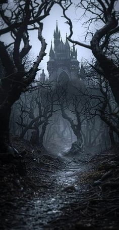 a creepy castle in the middle of a forest