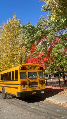 a yellow school bus parked on the side of the road in front of some trees