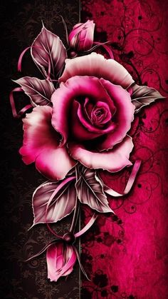 a pink rose on a black and red background