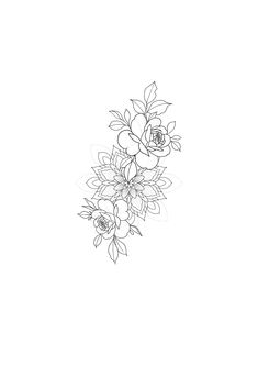 a line drawing of flowers on a white background