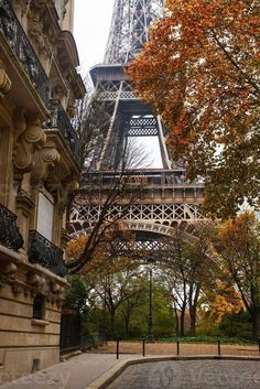 the eiffel tower towering over trees in paris, france with fall foliage around it