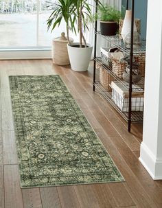 a living room with a large rug and potted plants on the floor in front of a window