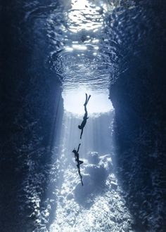 two people are swimming in the water with their backs turned to the camera and one person is diving