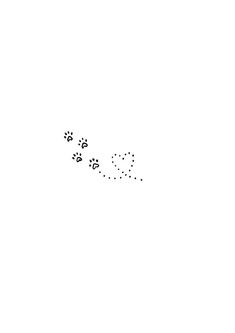 an animal's paw prints are shown in the sky