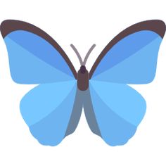 a blue butterfly with brown spots on its wings