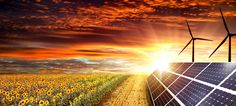 solar panels and windmills in a sunflower field with the sun setting behind them