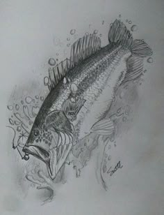 a pencil drawing of a fish with spikes on it's back legs and mouth