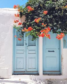 a blue door with red flowers on it and a tree in front of the doors