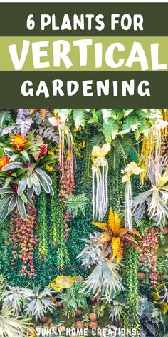 Vertical Gardening Vertical Garden Watering System, Best Plants For Vertical Garden, Vertical Garden Plants Outdoor, Vertical Plant Wall Outdoor, Verticle Gardening Ideas, Outdoor Plant Wall Ideas, Vertical Garden Wall Outdoors, Wall Garden Ideas Outdoor, Indoor Vertical Garden Wall