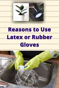 a person in yellow gloves is cleaning a sink with a green plant and the words latex vs rubber gloves?