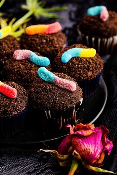 chocolate cupcakes with candy worms on them and a pink flower in the foreground