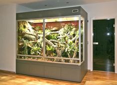 a large display case filled with lots of green plants in a room next to a doorway