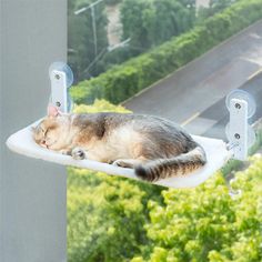 a cat laying on top of a window sill next to a green tree filled field