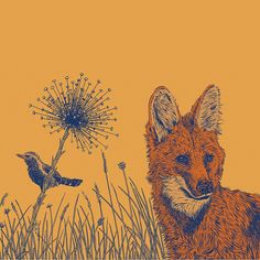 a drawing of a fox and a bird in the grass