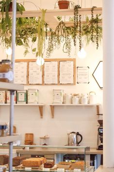 the inside of a coffee shop with plants hanging from the ceiling and shelves full of food