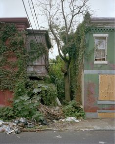 an old run down building with vines growing on it's side and a tree in the background