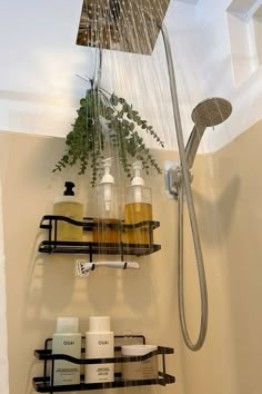 a shower head with soaps, lotion and plants in it