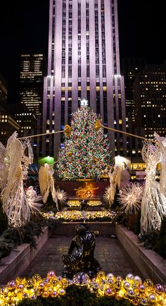 a christmas tree is lit up in the city at night