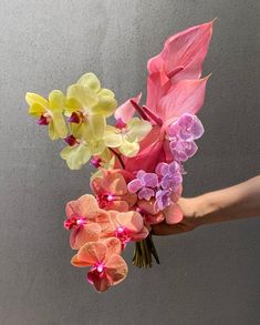 a person's hand holding a bouquet of flowers with pink and yellow orchids