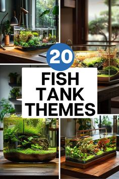 there are many fish tank themes in this page to see what you can do with them