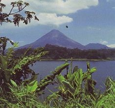 a lake surrounded by trees and mountains under a blue sky with clouds in the background