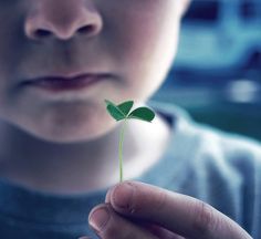 a young boy holding a small green leaf