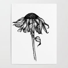 a black and white drawing of a sunflower