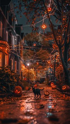 a black cat walking down a street covered in pumpkins and string lights at night