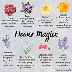 Healing Flowers, Herbal Witch, Goddess Magick, Plant Magic, Witch Garden, Magic Herbs, Witch Spirituality, Magic Spell Book, Flower Guide