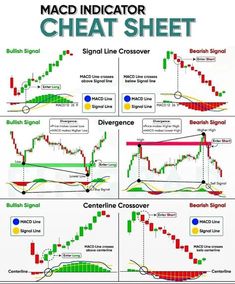 macd indicator chart showing the different types of indicators and how to use them for trading