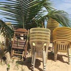 there are many chairs on the beach with palm trees in the backgrouds