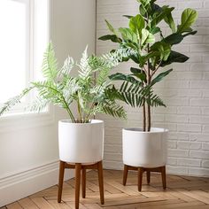 two potted plants sitting next to each other on top of a wooden floor in front of a window