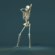 a skeleton is standing in the dark