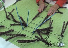 a woman is cutting up some plants with scissors